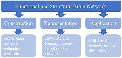 Editorial: Functional and structural brain network construction, representation and application